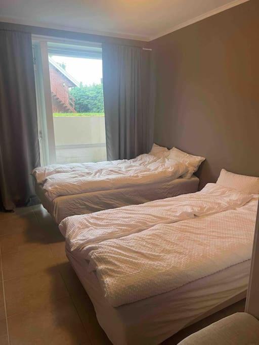 Fin Leilighet I Rolig Omrade I Trondheim Apartment Hoiset Ngoại thất bức ảnh